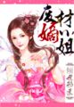 流星花园2免费观看