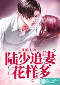 叶凡唐若雪医婿