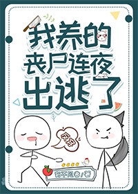 言情网