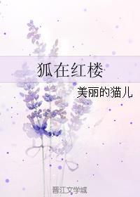 菲梦少女第一季免费观看