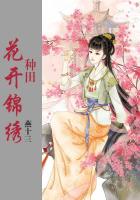 盛宠庶妃