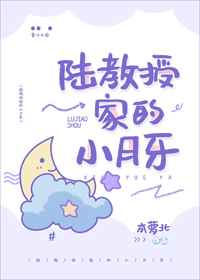 极品美脚