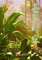 胭脂电视剧全集在线观看免费