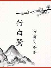 邓晶人体系艺人图册