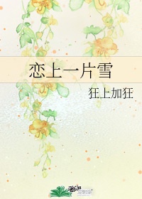 色一情一乱一伦