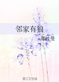 骚狐视频