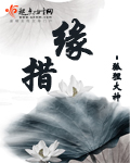 奥拉星亚比