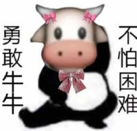b站黄页