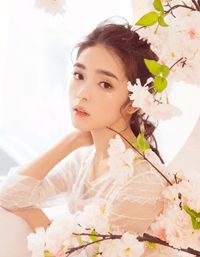 霓漫天同人
