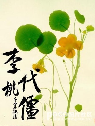 绝望教室日本动漫免费观看