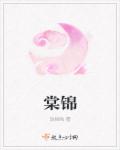 异性恋爱博士