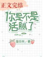 421页pdf内容