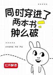 帕斯尚尔战役