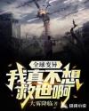 广场砖