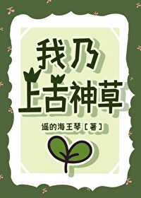 高清情侣国语自产拍在线