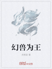 古城谍影电视剧全集