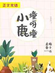 鹿鼎记黄晓明版国语版