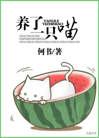 韩娱之光影交错