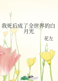 华夏无神明的小说