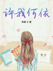 msi是什么比赛