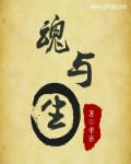 冰冰炮图