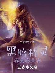 蓝天空姐王静全文阅读