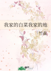 6080新视觉理论看