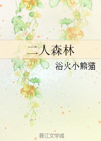 4p经历