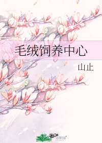 跳蛋h文