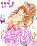 新还珠格格第二部