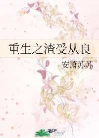 龙腾小说三宝局长