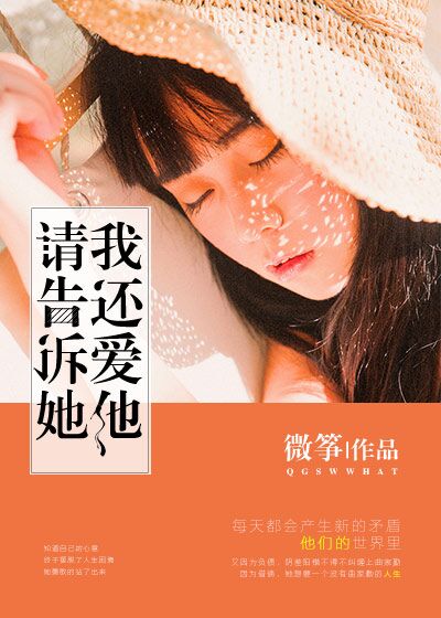 93版包青天全集目录