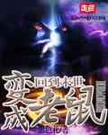这里只精品视频免费观看