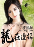 无翼鸟之王者荣耀貂蝉
