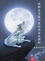 什么动漫好看