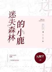女性的下面高清免费视频