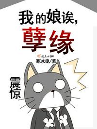 电视剧女特工