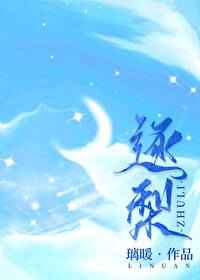 火炬之光2加点