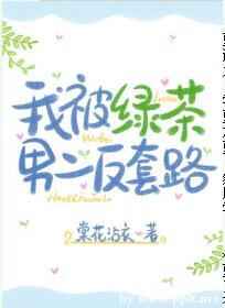我玩了省委书记夫人
