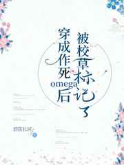 火影全彩本子