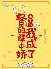 绯色的子弹