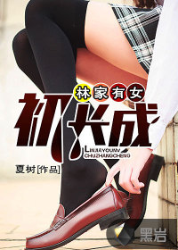 沈万三电视剧40集免费观看