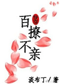火影忍者在线观看全集