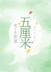 动感之星高清全集