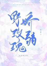 极致情缘