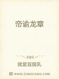 养了八年的金丝雀飞走啦免费阅读