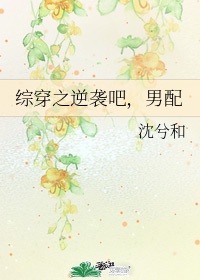 黄蓉襄阳后传