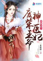 佩洛西流氓罪