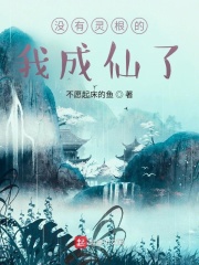 爱情公寓2分集剧情