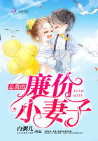 明星奴隶园1—40